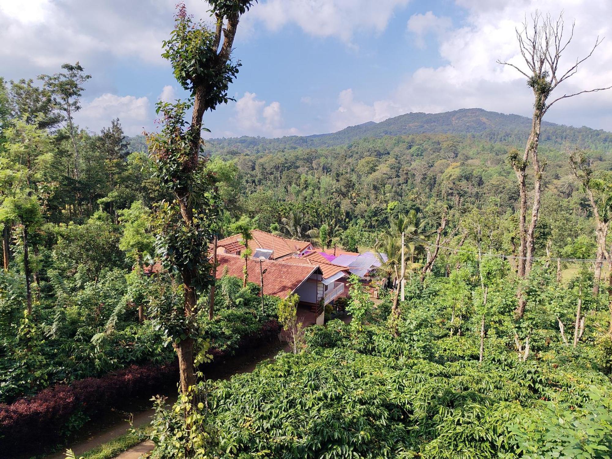 Siddāpur Shivalaya Homestay, Madikeri מראה חיצוני תמונה