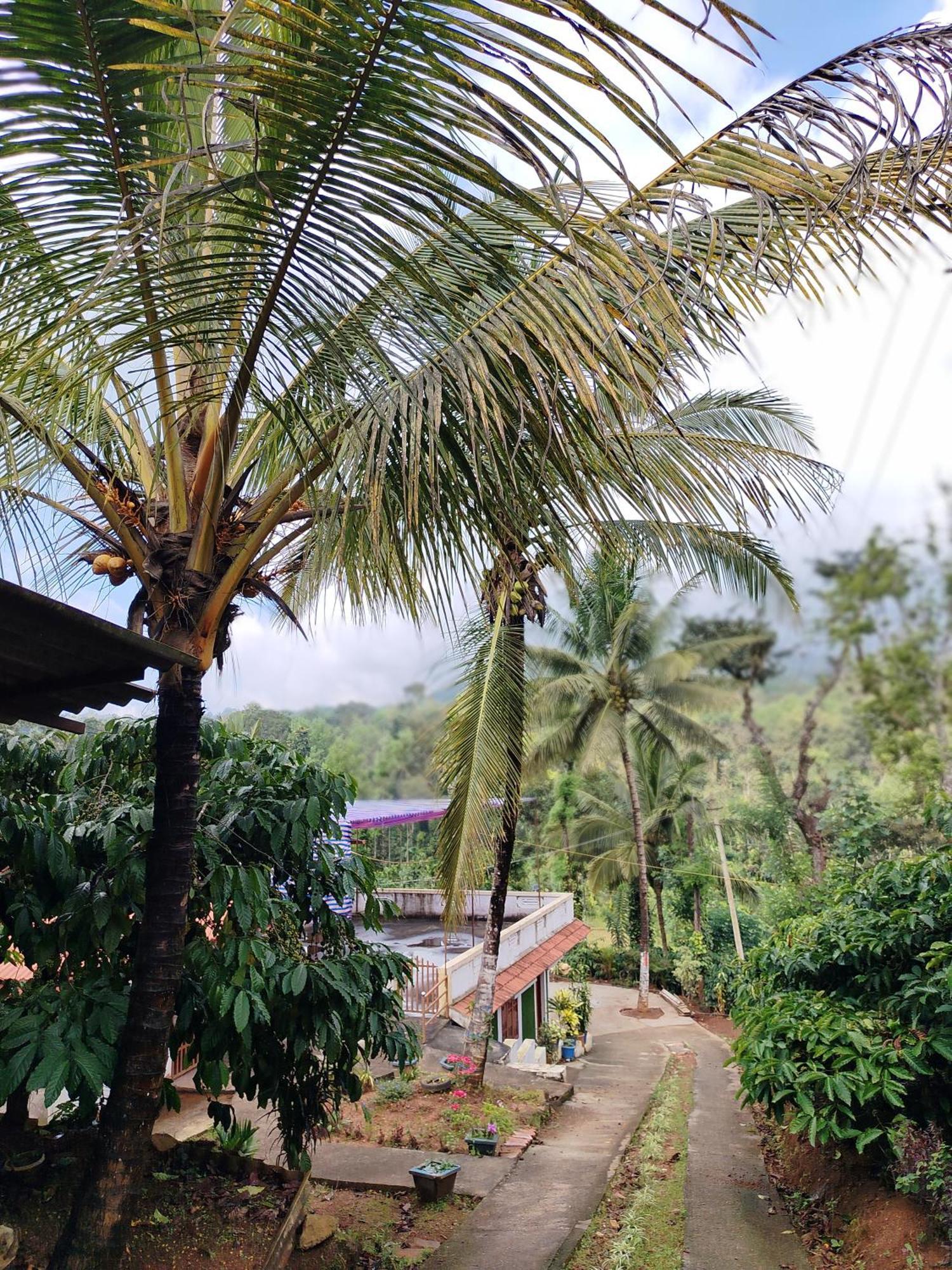 Siddāpur Shivalaya Homestay, Madikeri מראה חיצוני תמונה